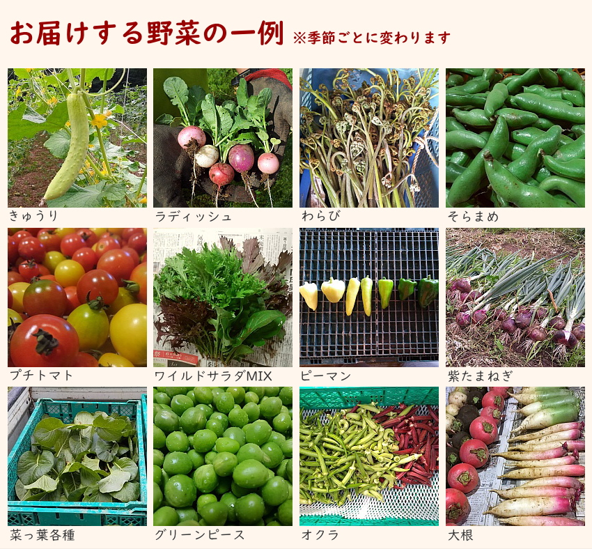 購入するにはイメージ