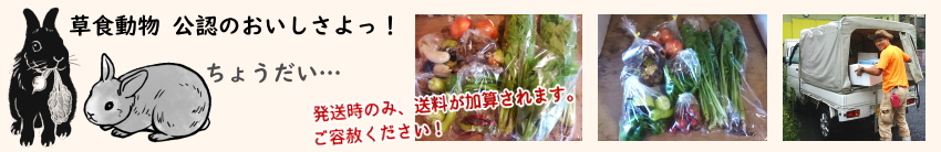 購入するにはヘッダー